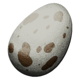 Medium Egg
